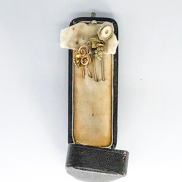 Stick Pins in Leather Box CP0002